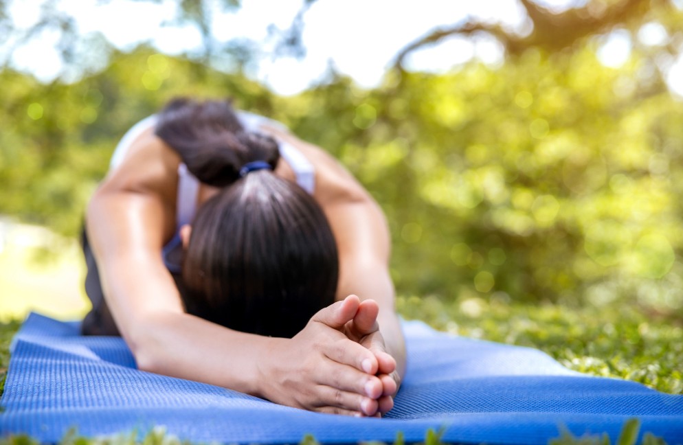 shoulder doctor replacement specialist new york